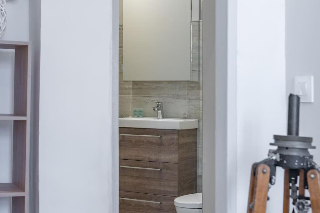 Magnolia Magnifique T2 Entierement Renove. Apartment Montauban Exterior photo
